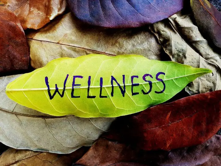 What Are the 6 Types of Wellness?